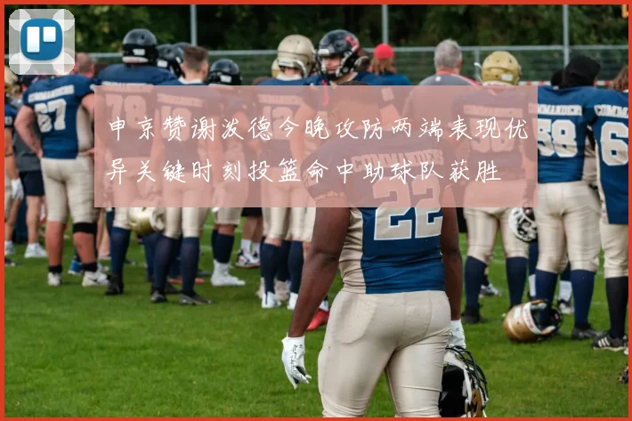 申京赞谢泼德今晚攻防两端表现优异关键时刻投篮命中助球队获胜