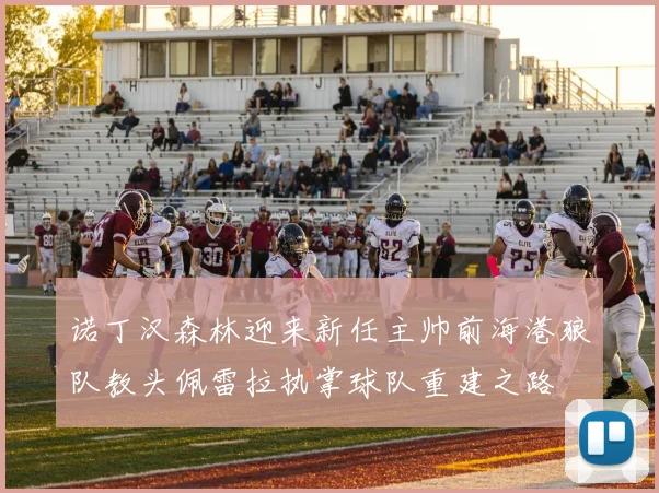 诺丁汉森林迎来新任主帅前海港狼队教头佩雷拉执掌球队重建之路